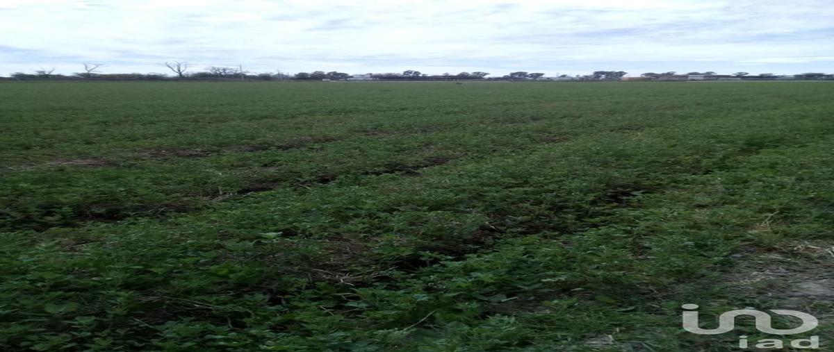 Foto de rancho en venta en colonia matamoros , el llano [cereso], el llano, aguascalientes, 28722098 No. 05